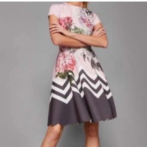NWT Ted Baker Palace Gardens Skate Dress size 8